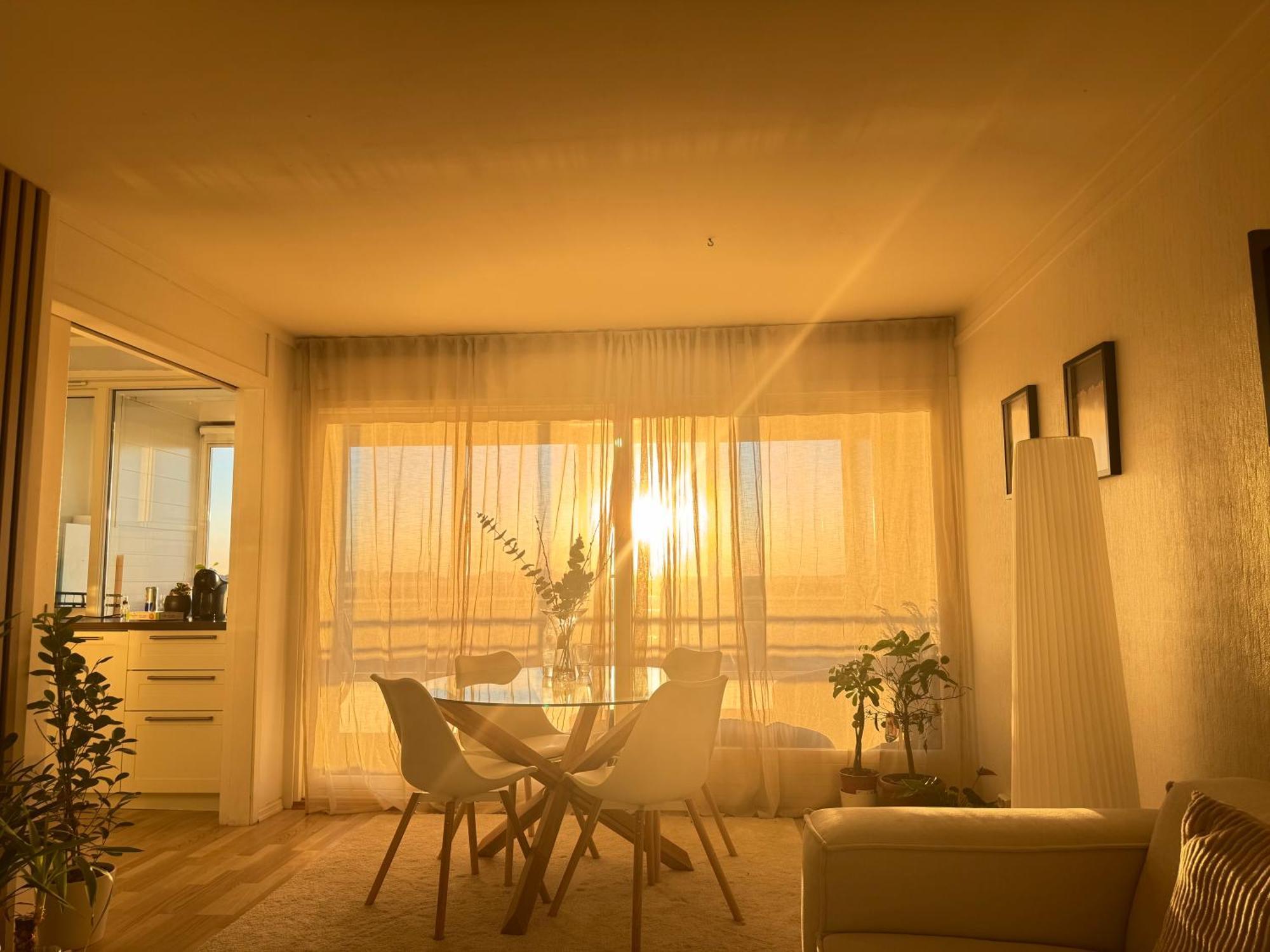 Koselig Appartamento Stavanger